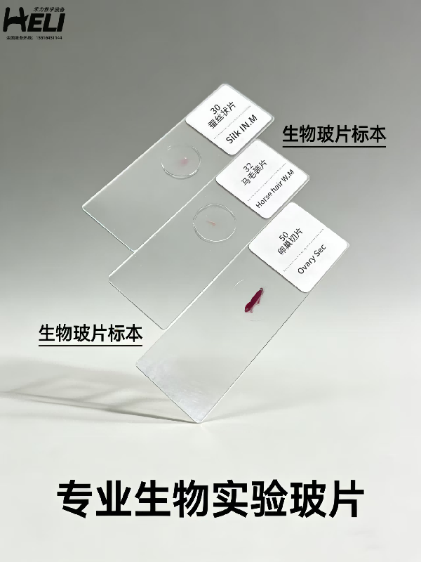 生物实验玻片标本